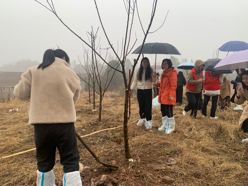 微信图片_202503122102511.jpg
