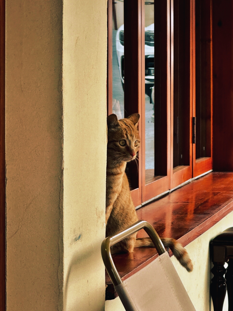 20251127182109_953185.jpg 20251127182109_953185.jpg