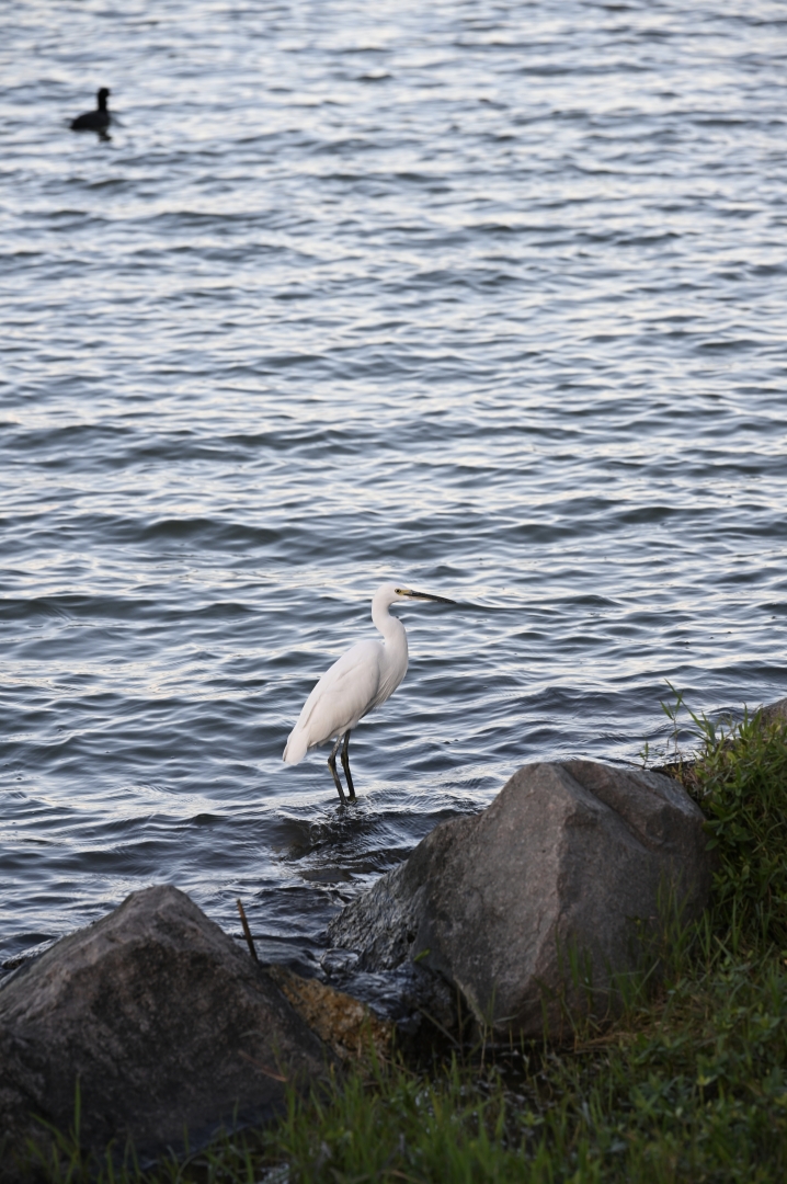 20251127182154_582660.jpg 20251127182154_582660.jpg