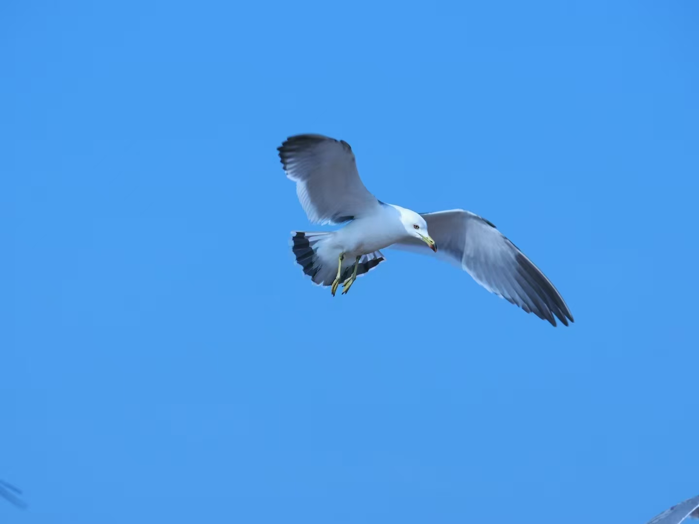 20251127182300_872288.jpg 20251127182300_872288.jpg