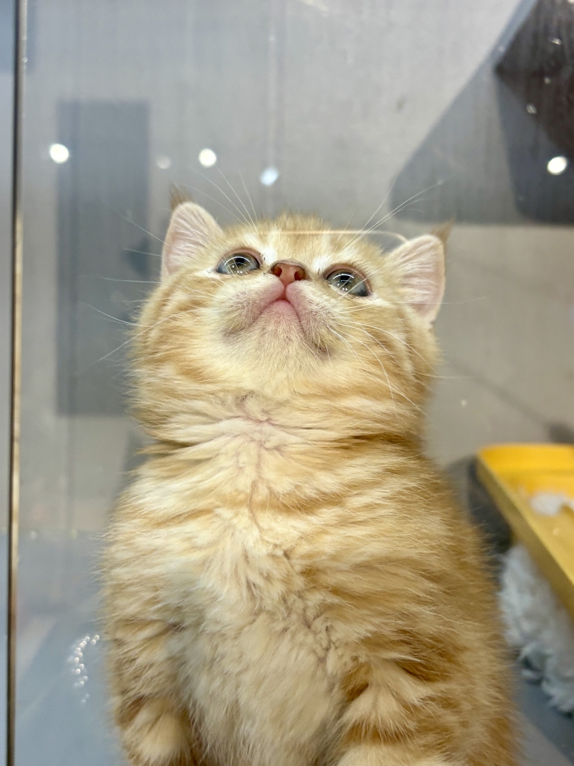 20251127182501_246735.jpg 20251127182501_246735.jpg